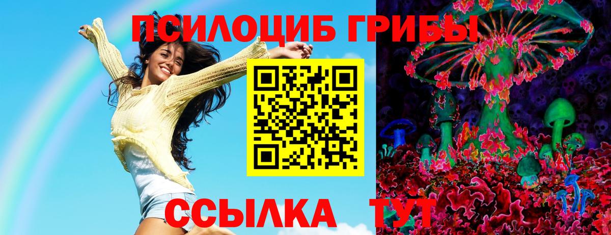 Галлюциногенные грибы Cubensis  Вход с VPN  Моздок 